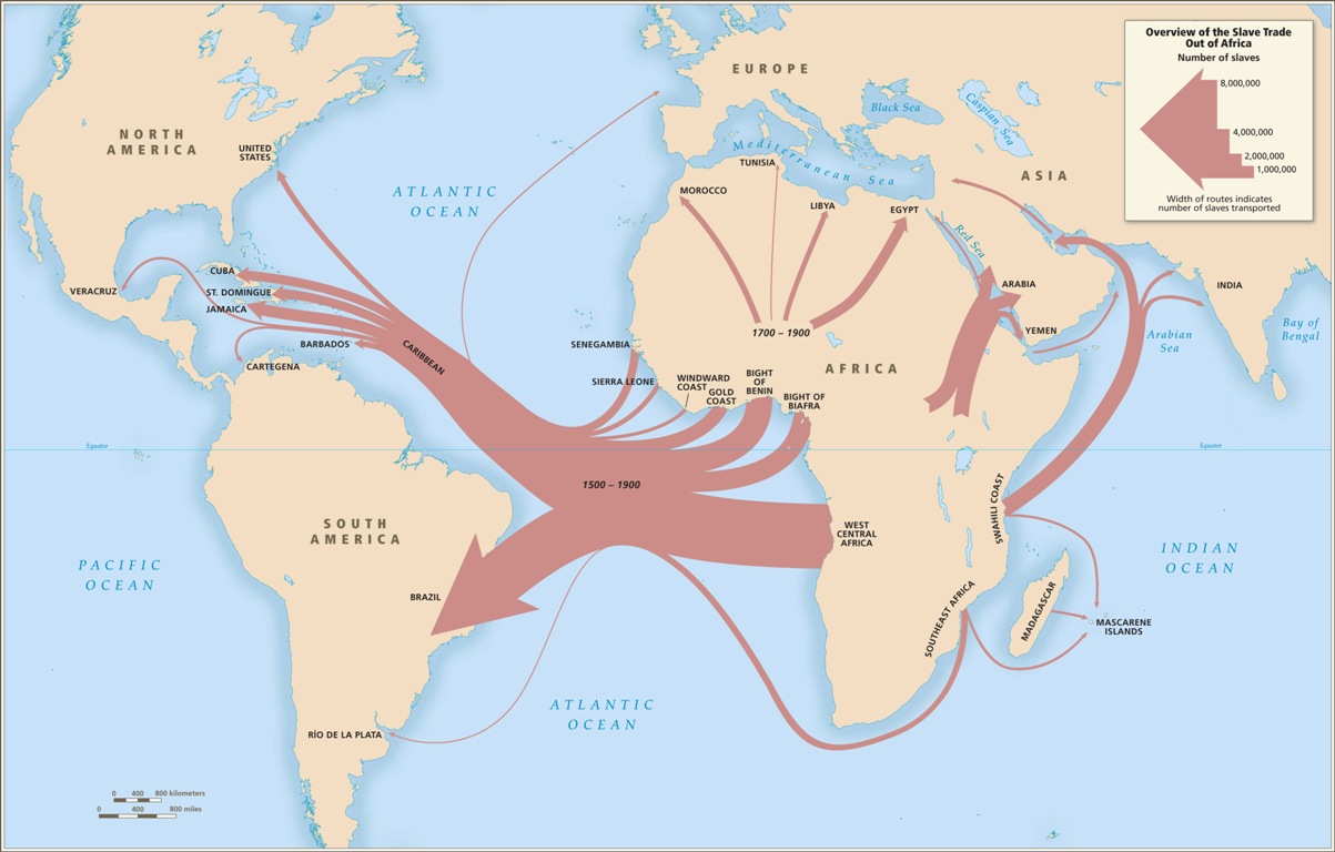 V.A. 「The Transatlantic Story」 The Last Slave Ship | Book by Ben Raines | Official